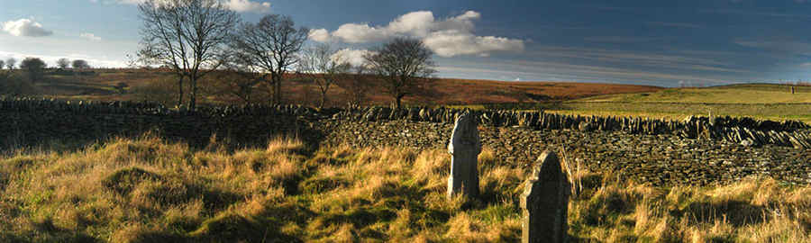 Gelligaer common